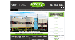 Desktop Screenshot of fortunafirstaid.com